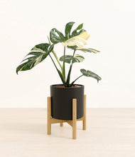 Load image into Gallery viewer, Black stand:bamboo
