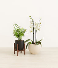 Load image into Gallery viewer, Orca stand:one_stand
