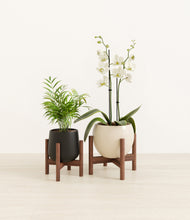 Load image into Gallery viewer, Orca stand:two_stands
