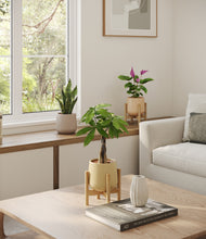 Load image into Gallery viewer, Sandy stand:two_stands
