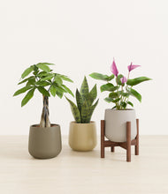 Load image into Gallery viewer, Woodland stand:one_stand

