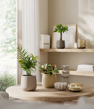 Load image into Gallery viewer, Woodland
