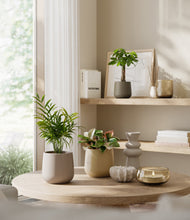 Load image into Gallery viewer, Woodland
