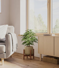 Load image into Gallery viewer, Olive stand:walnut

