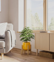 Load image into Gallery viewer, Mustard stand:bamboo
