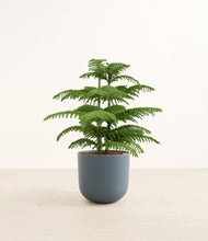 Load image into Gallery viewer, Iron Gray*****Profile
