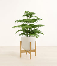 Load image into Gallery viewer, Natural Bamboo stand:bamboo
