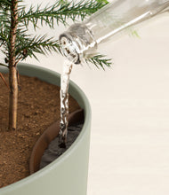 Load image into Gallery viewer, Sage Green stand:all
