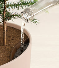 Load image into Gallery viewer, Sandy Pink stand:all
