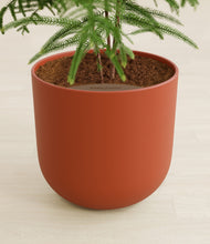 Load image into Gallery viewer, Earth Red stand:all
