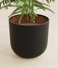 Load image into Gallery viewer, Stone Black stand:all
