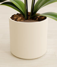 Load image into Gallery viewer, Cream stand:all
