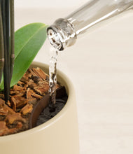 Load image into Gallery viewer, Almond Green stand:all
