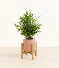 Load image into Gallery viewer, Calm Rose stand:bamboo
