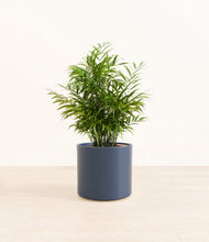 Load image into Gallery viewer, Deep Navy*****Profile
