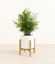 Load image into Gallery viewer, White stand:bamboo
