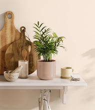 Load image into Gallery viewer, Sandy Pink
