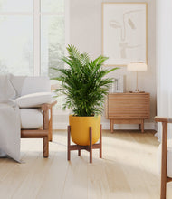 Lade das Bild in den Galerie-Viewer, Sunset Orange stand:dark
