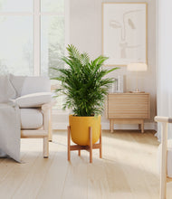 Load image into Gallery viewer, Sunset Orange stand:bamboo
