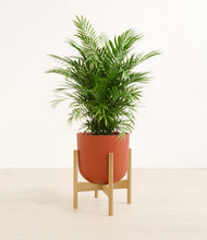 Lade das Bild in den Galerie-Viewer, Earth Red stand:light
