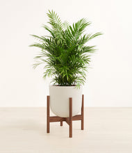 Lade das Bild in den Galerie-Viewer, Natural Bamboo stand:dark

