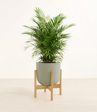 Lade das Bild in den Galerie-Viewer, Sage Green stand:light
