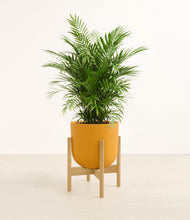 Load image into Gallery viewer, Sunset Orange stand:bamboo
