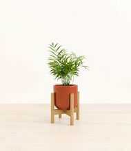 Load image into Gallery viewer, Glossy Red stand:bamboo
