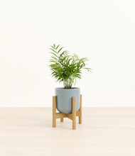 Load image into Gallery viewer, Misty Blue stand:bamboo
