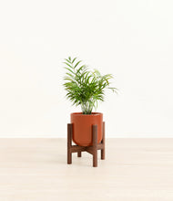 Load image into Gallery viewer, Glossy Red stand:walnut
