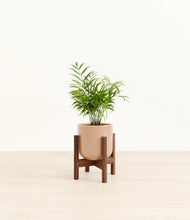 Load image into Gallery viewer, Glossy Pink stand:walnut
