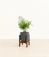 Load image into Gallery viewer, Iron Gray stand:walnut
