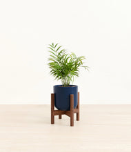 Load image into Gallery viewer, Twilight Blue stand:walnut
