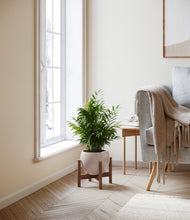 Load image into Gallery viewer, Desert Brown stand:walnut

