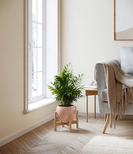 Load image into Gallery viewer, Calm Rose stand:bamboo
