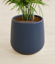 Load image into Gallery viewer, Deep Navy stand:all
