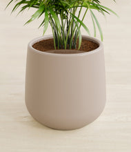 Load image into Gallery viewer, Eternal Gray stand:all
