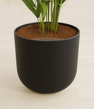 Load image into Gallery viewer, Stone Black stand:all
