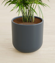 Load image into Gallery viewer, Iron Gray stand:all
