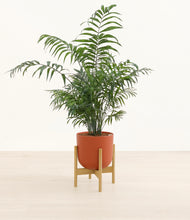 Lade das Bild in den Galerie-Viewer, Earth Red stand:bamboo
