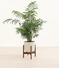 Lade das Bild in den Galerie-Viewer, Natural Bamboo stand:walnut
