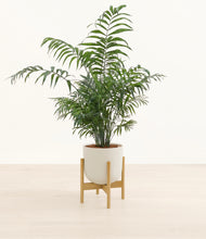 Lade das Bild in den Galerie-Viewer, Natural Bamboo stand:bamboo

