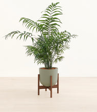 Lade das Bild in den Galerie-Viewer, Sage Green stand:walnut
