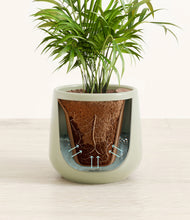 Load image into Gallery viewer, Turquoise stand:all
