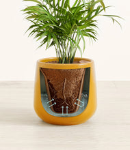 Load image into Gallery viewer, Mustard stand:all
