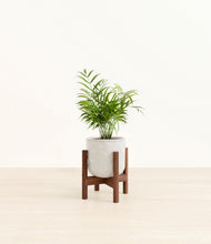 Load image into Gallery viewer, Hammered Ivory stand:walnut
