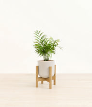 Load image into Gallery viewer, Snowdrift White stand:bamboo
