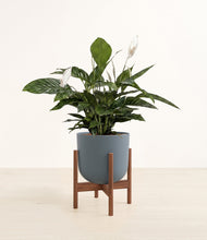 Lade das Bild in den Galerie-Viewer, Iron Gray stand:walnut
