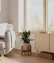 Load image into Gallery viewer, Olive stand:walnut
