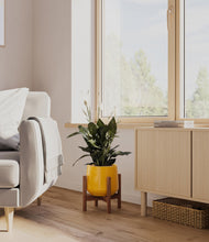 Load image into Gallery viewer, Mustard stand:walnut
